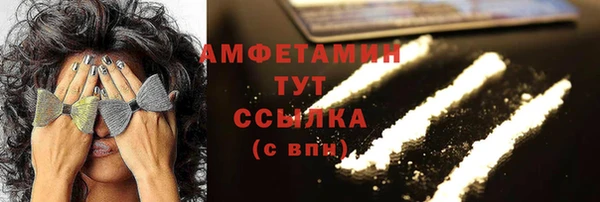 PSILOCYBIN Алзамай