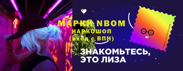 PSILOCYBIN Алзамай
