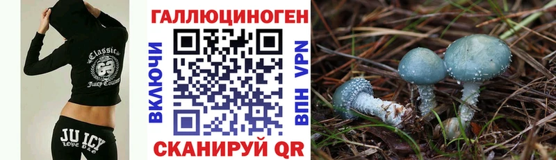 Псилоцибиновые грибы ЛСД  закладки  Венёв 